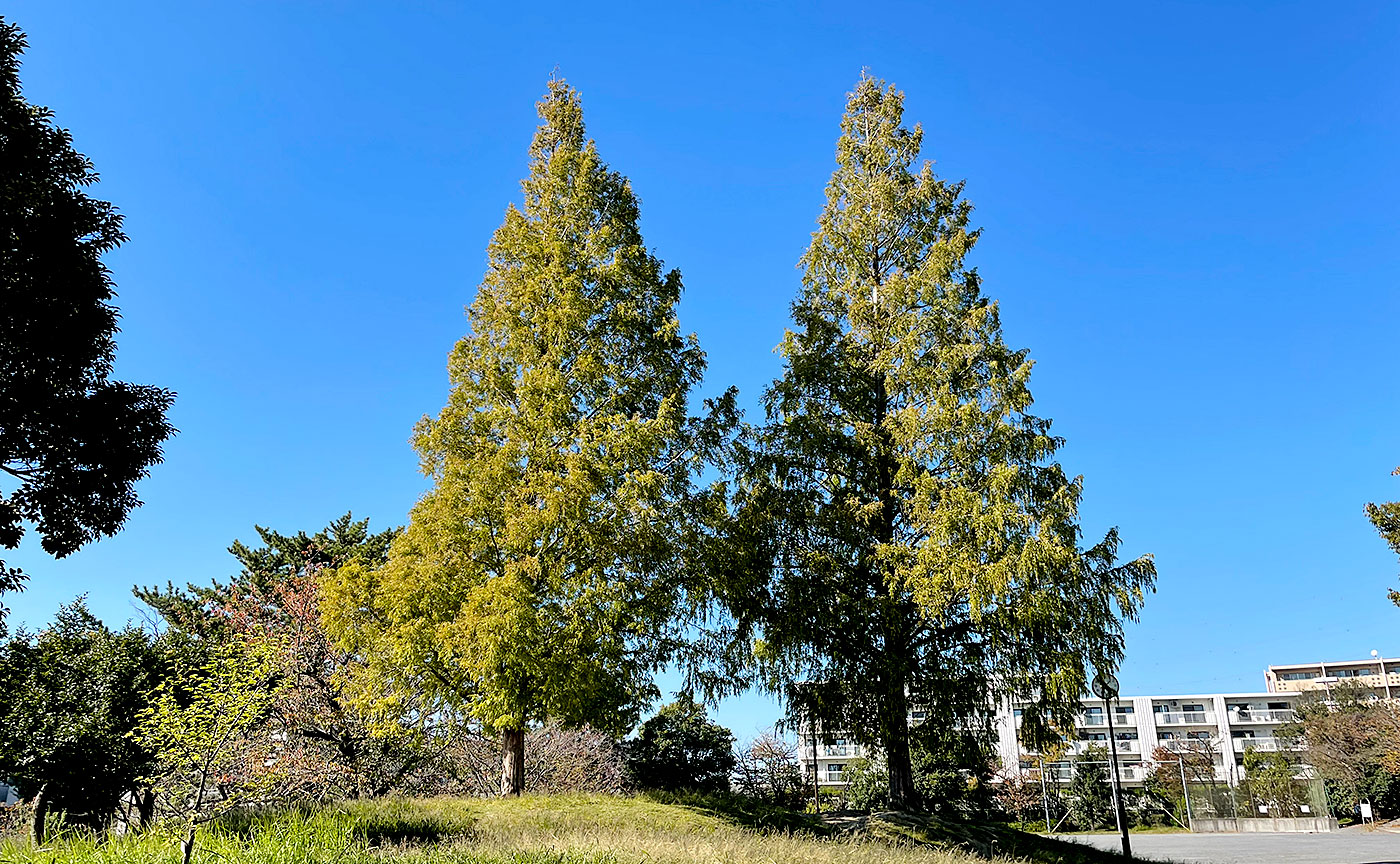 すすき野公園