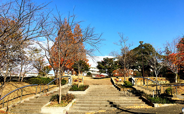 すすき野公園