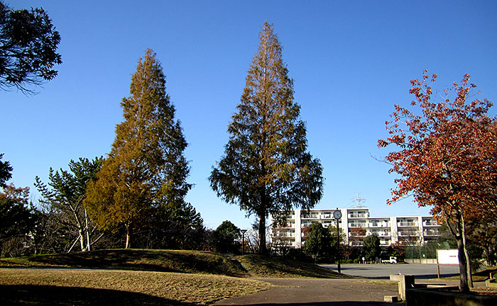 すすき野公園