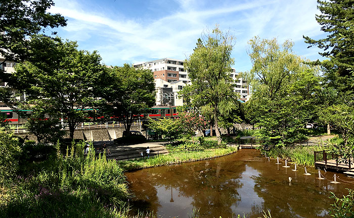 藤が丘公園