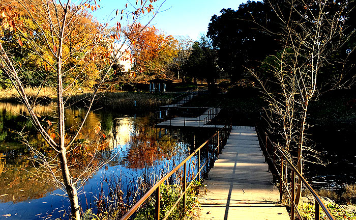 もえぎ野公園