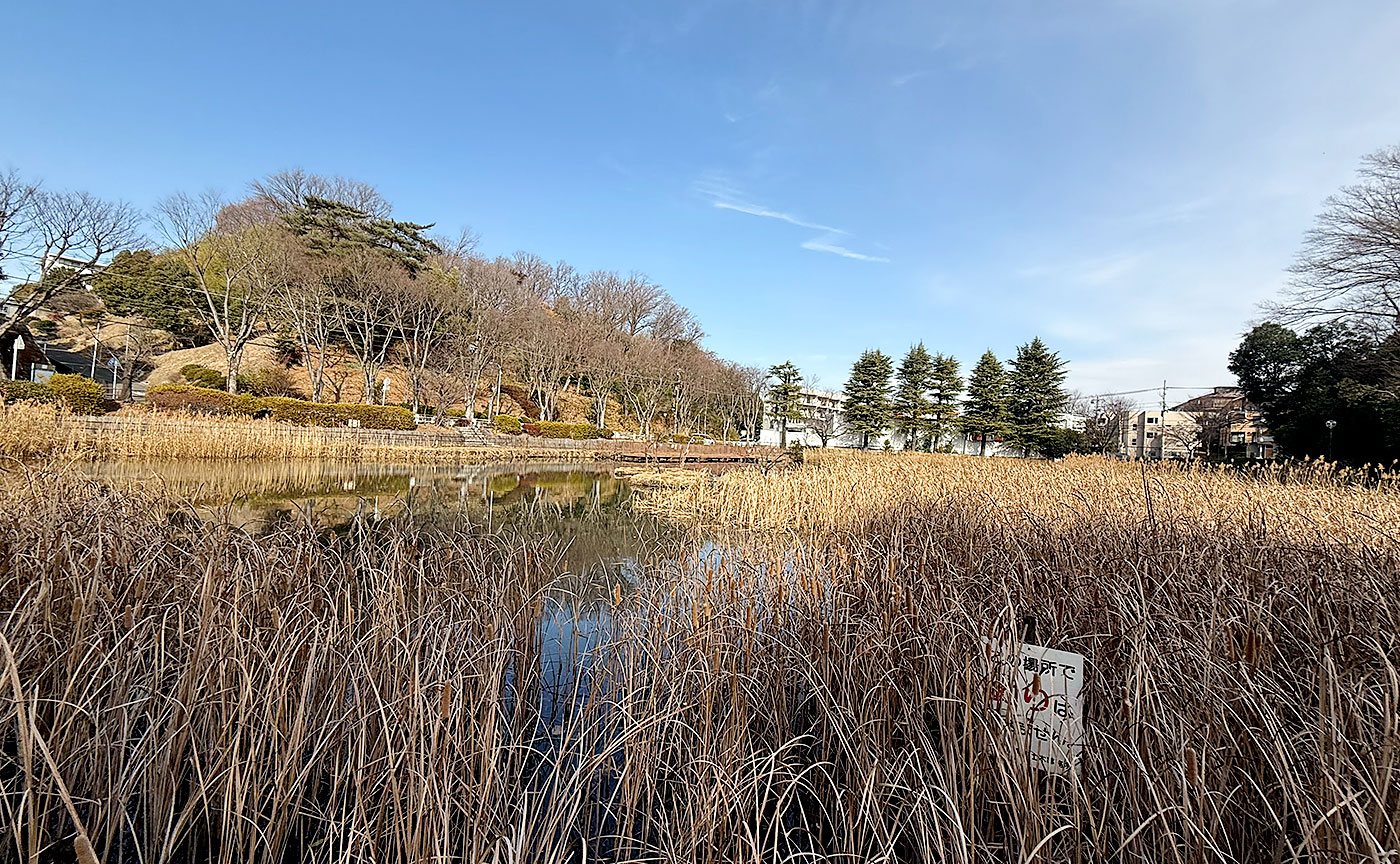 もえぎ野公園