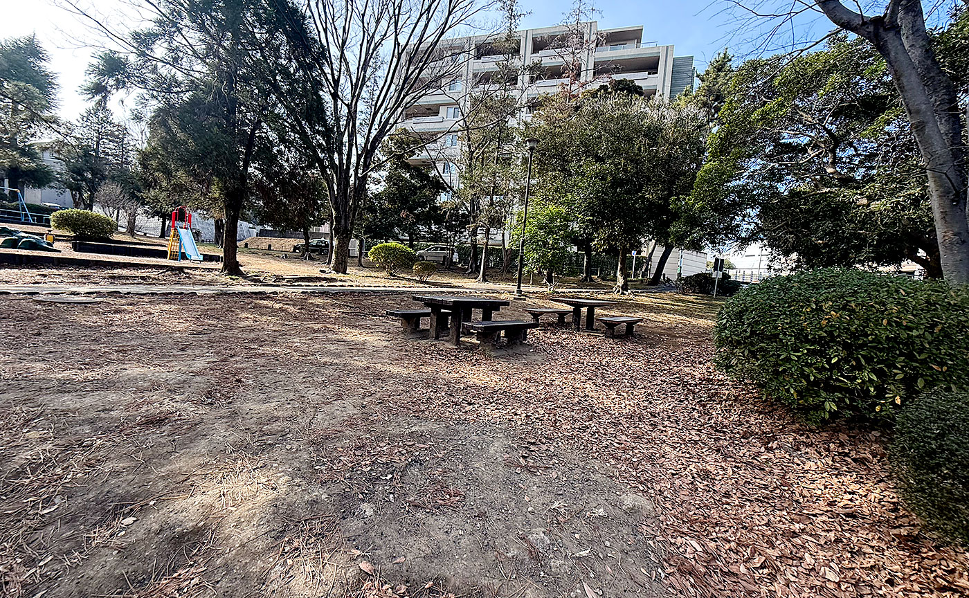 藤が丘公園