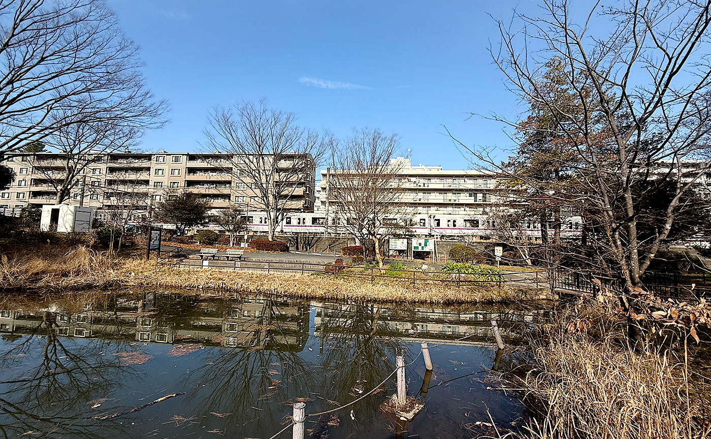 藤が丘公園