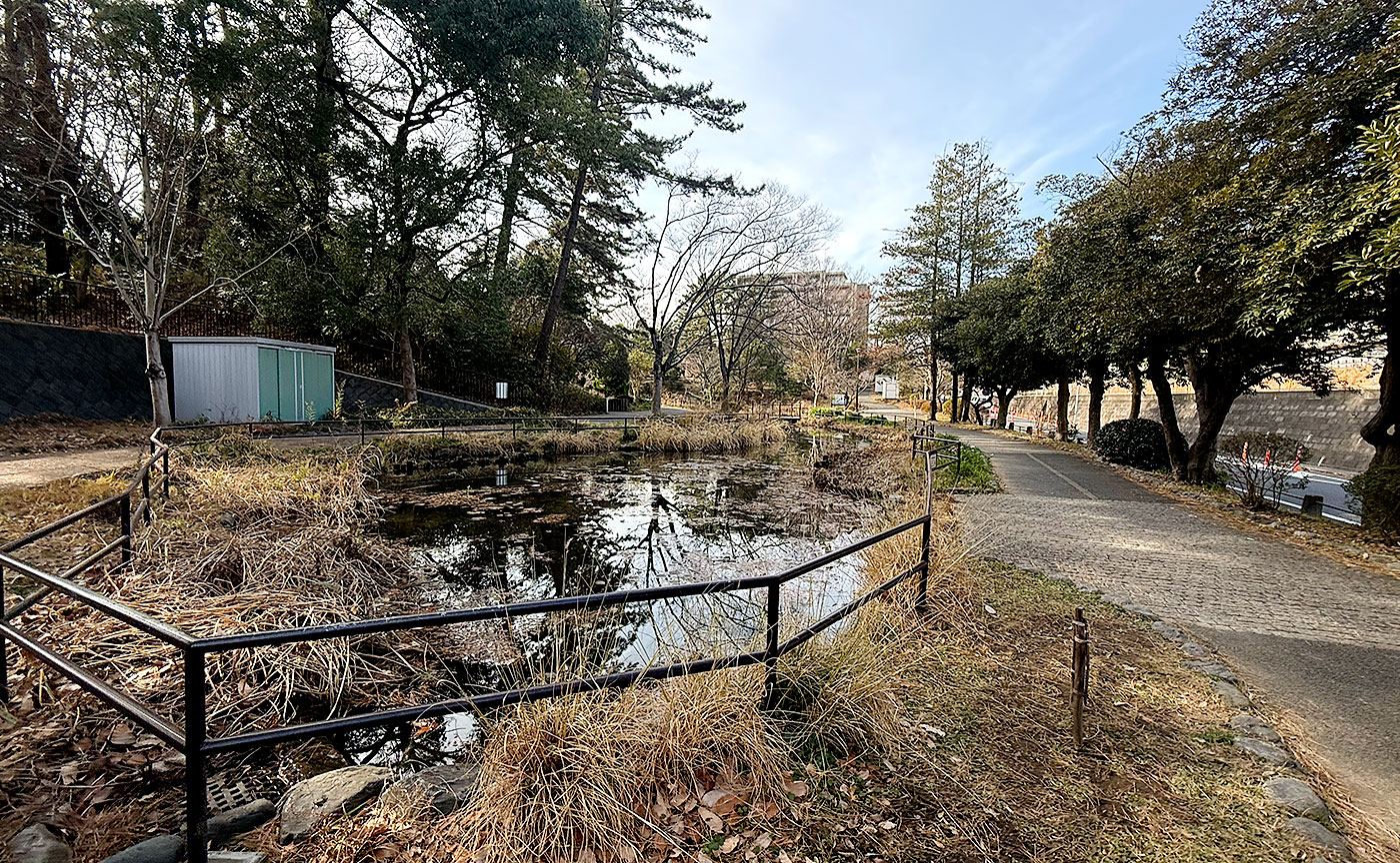 藤が丘公園
