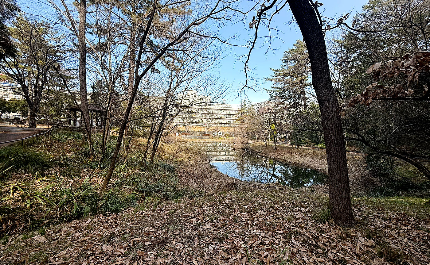 藤が丘公園