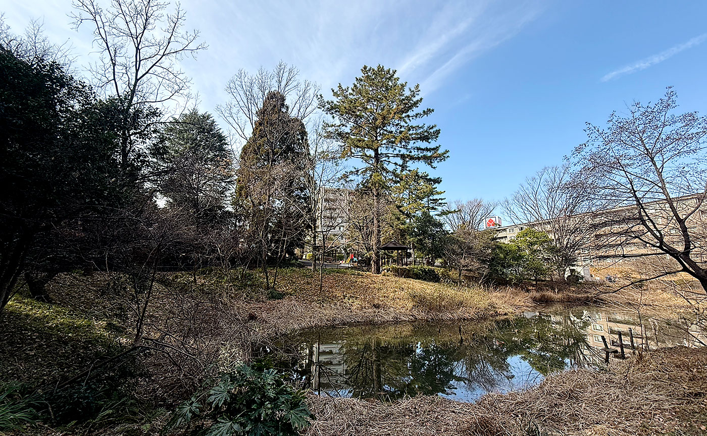 藤が丘公園