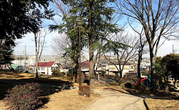 ビュー ホット 傷跡 消え ない