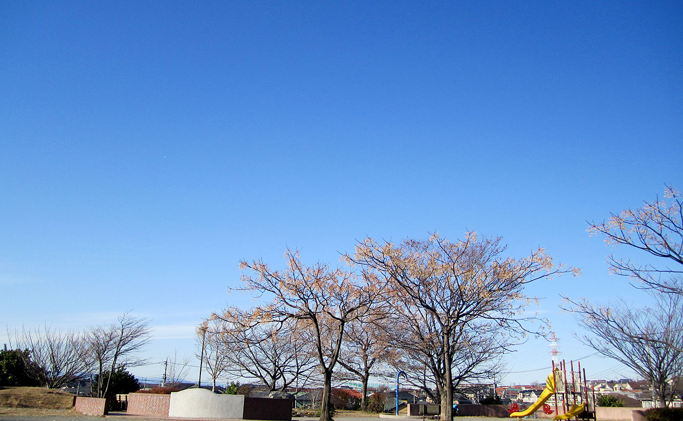 みすずが丘公園