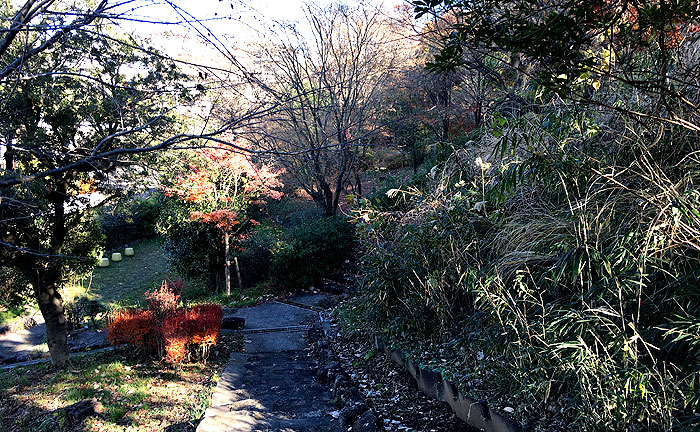 たちばな台公園