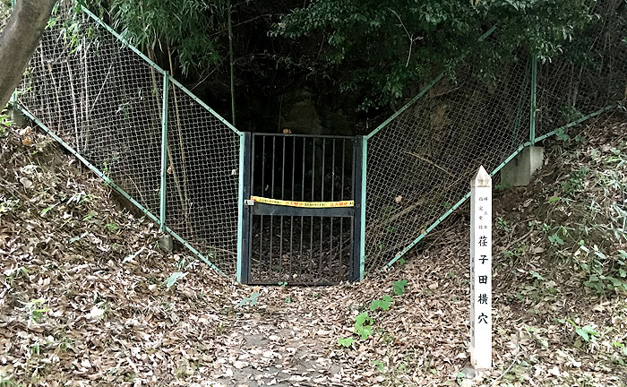 荏子田朝日公園