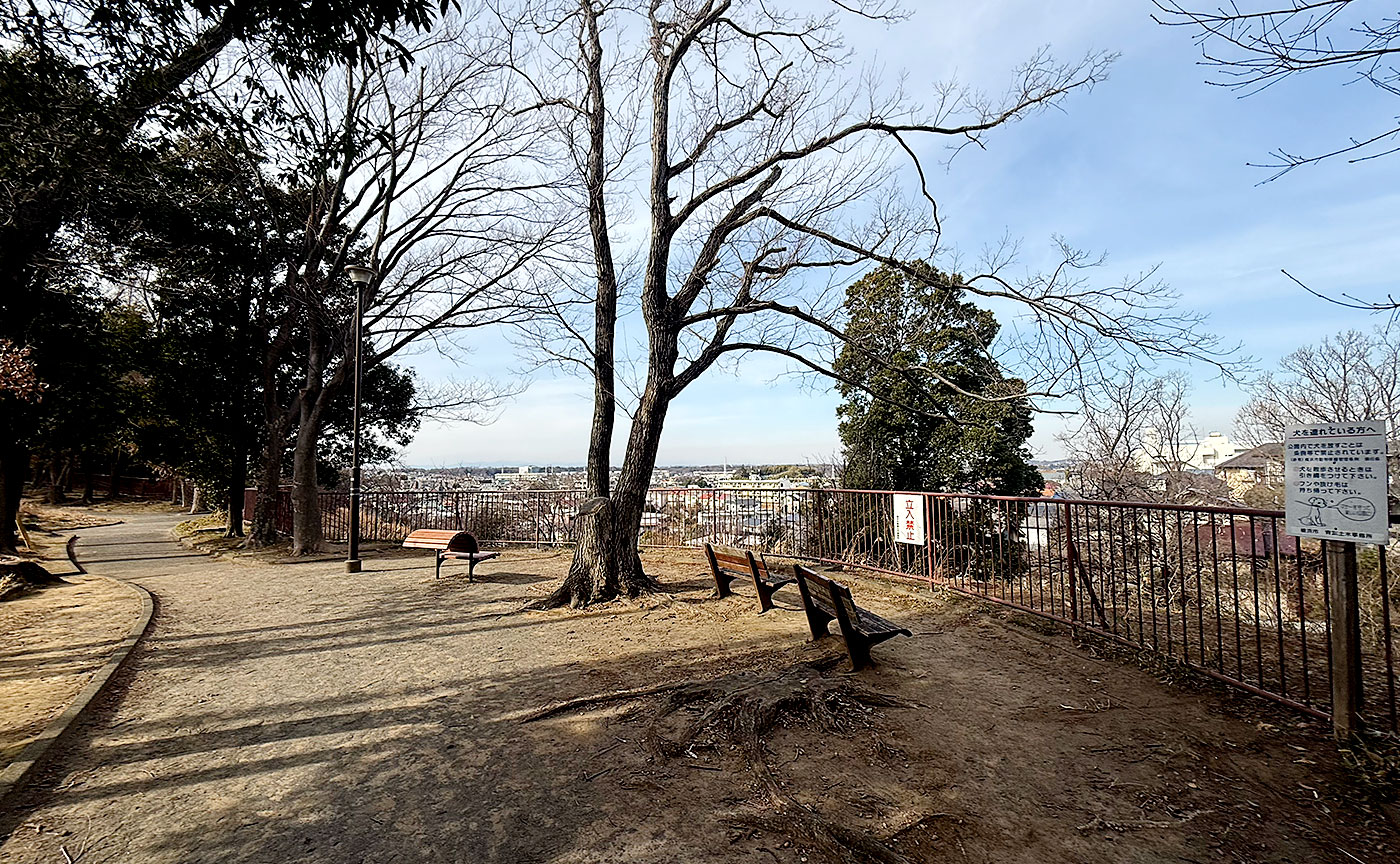 たちばな台公園