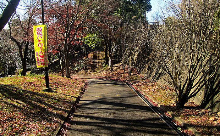 2011年の荏子田朝日公園