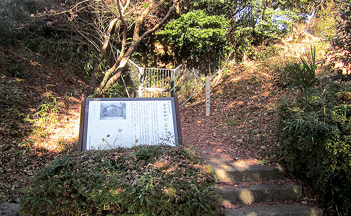 2011年の荏子田朝日公園