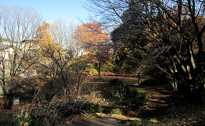 たちばな台公園