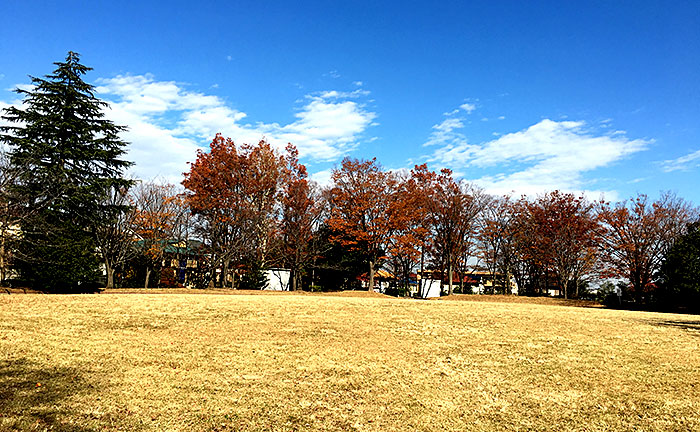 小黒公園