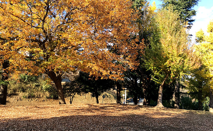 新石川中村公園