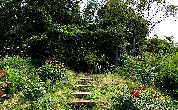 荏子田太陽公園