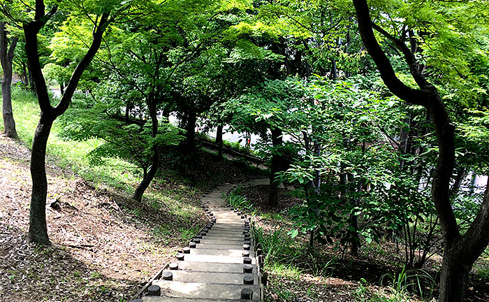 荏子田太陽公園