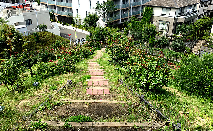 荏子田太陽公園