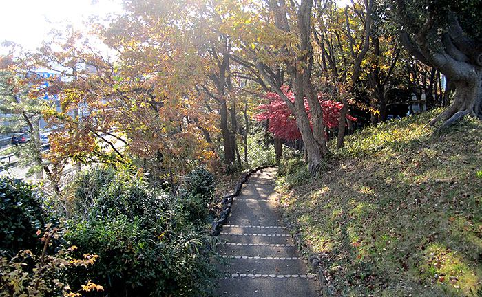 藤が丘第二公園