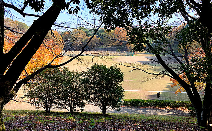 鴨志田公園