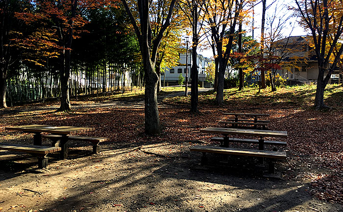 荏田猿田公園