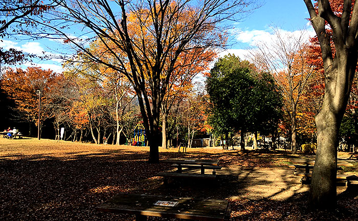 荏田猿田公園