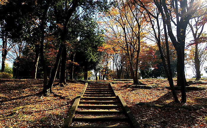 荏田猿田公園