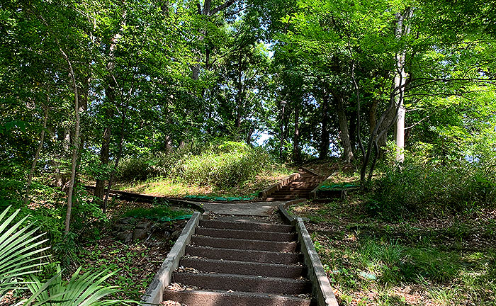 梅が丘公園