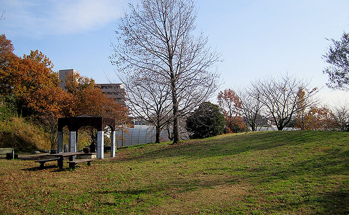 市ヶ尾町公園