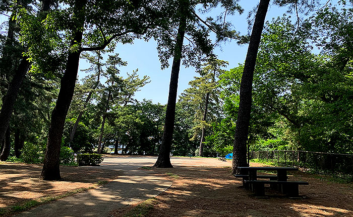 しらとり台公園