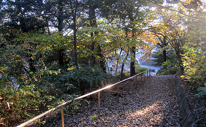 しらとり台公園