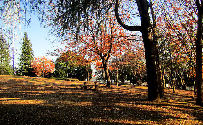 嶮山公園