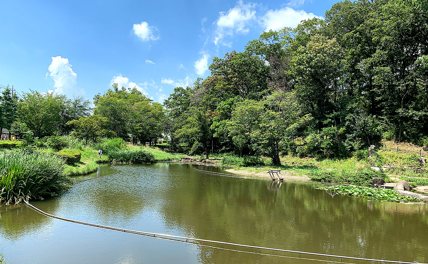 桜台公園