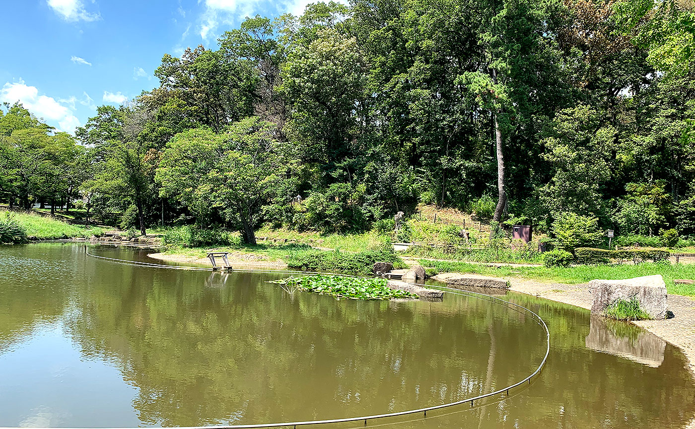 桜台公園