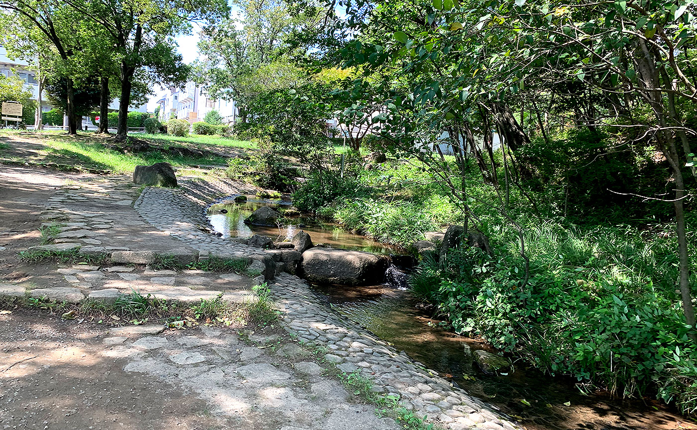 桜台公園