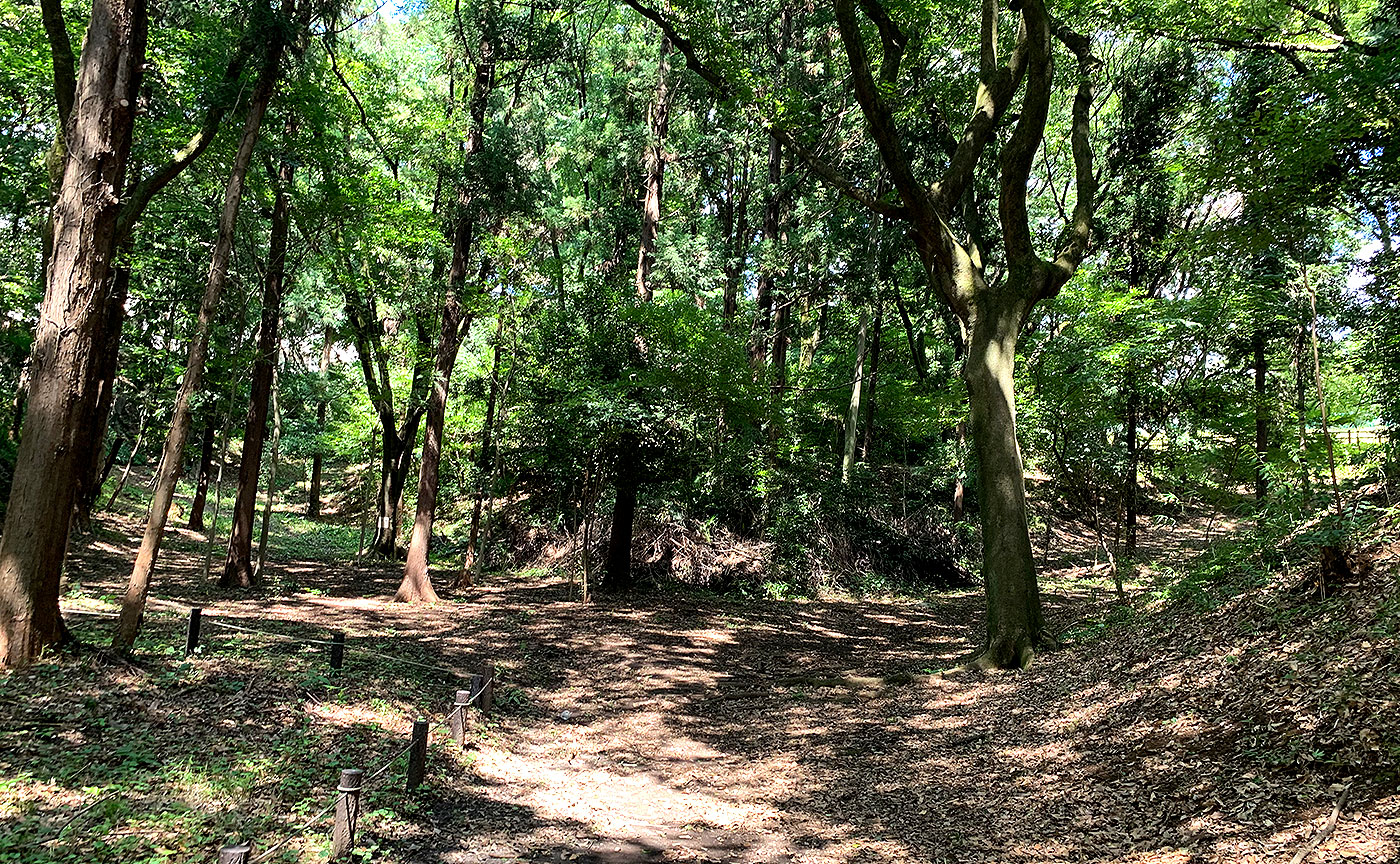 桜台公園