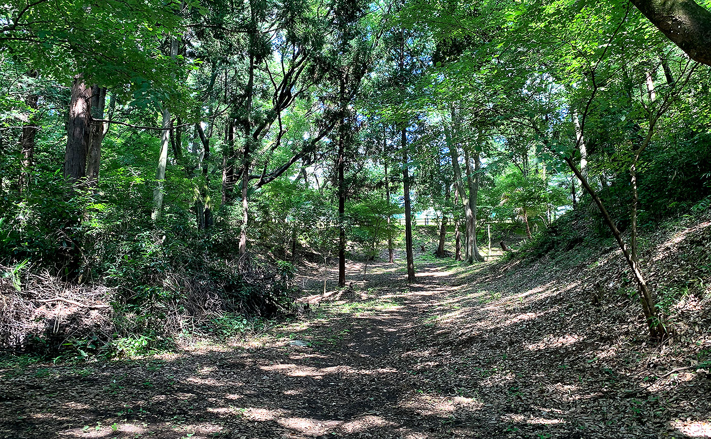 桜台公園