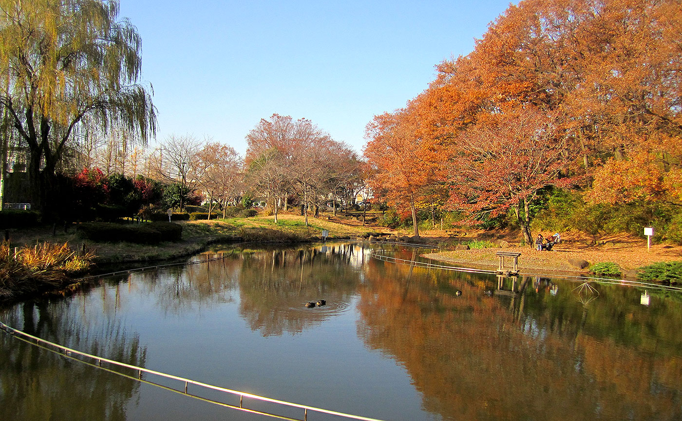 桜台公園