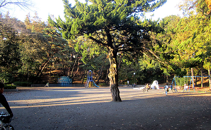 つつじが丘第一公園