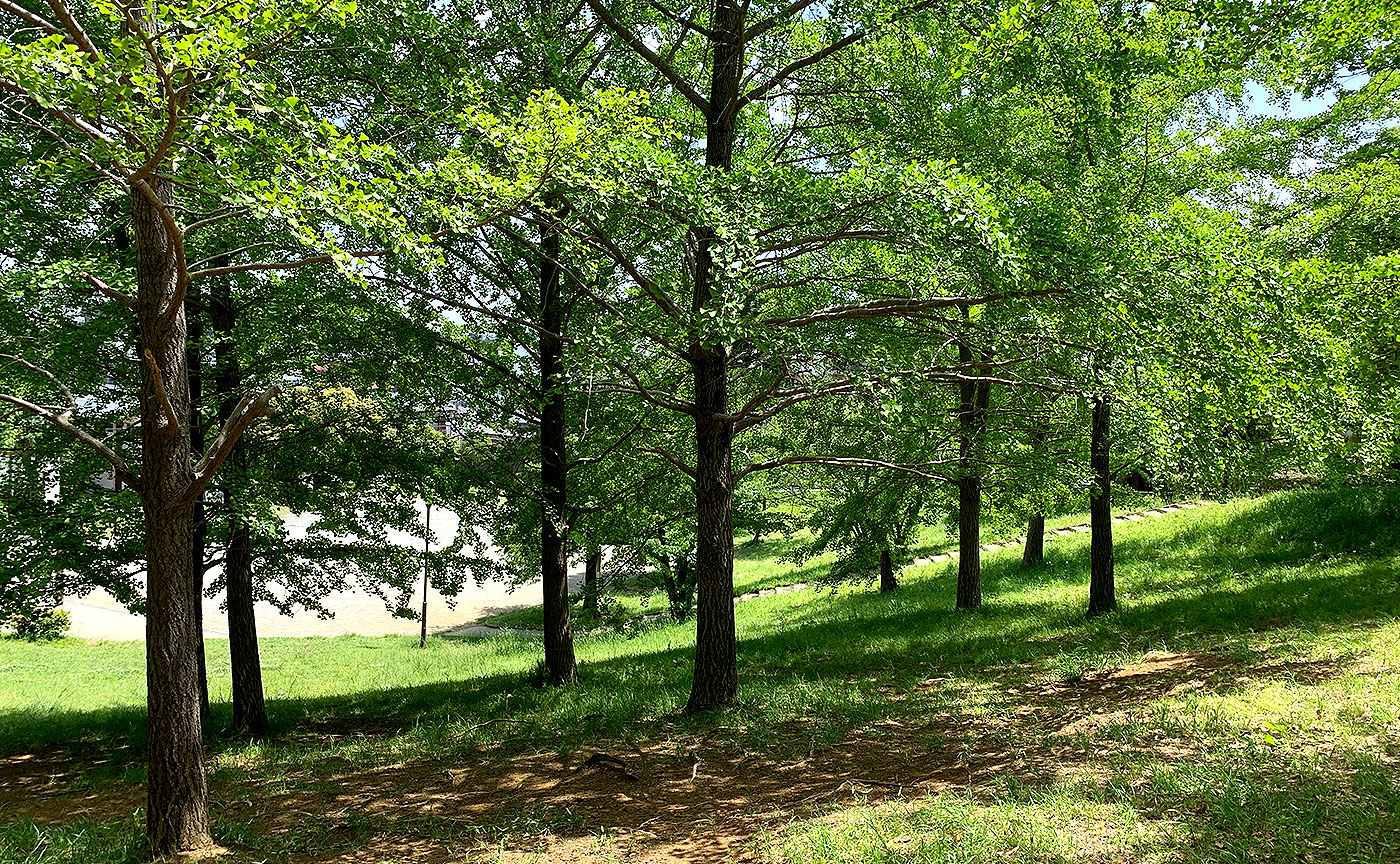 あざみ野一丁目公園