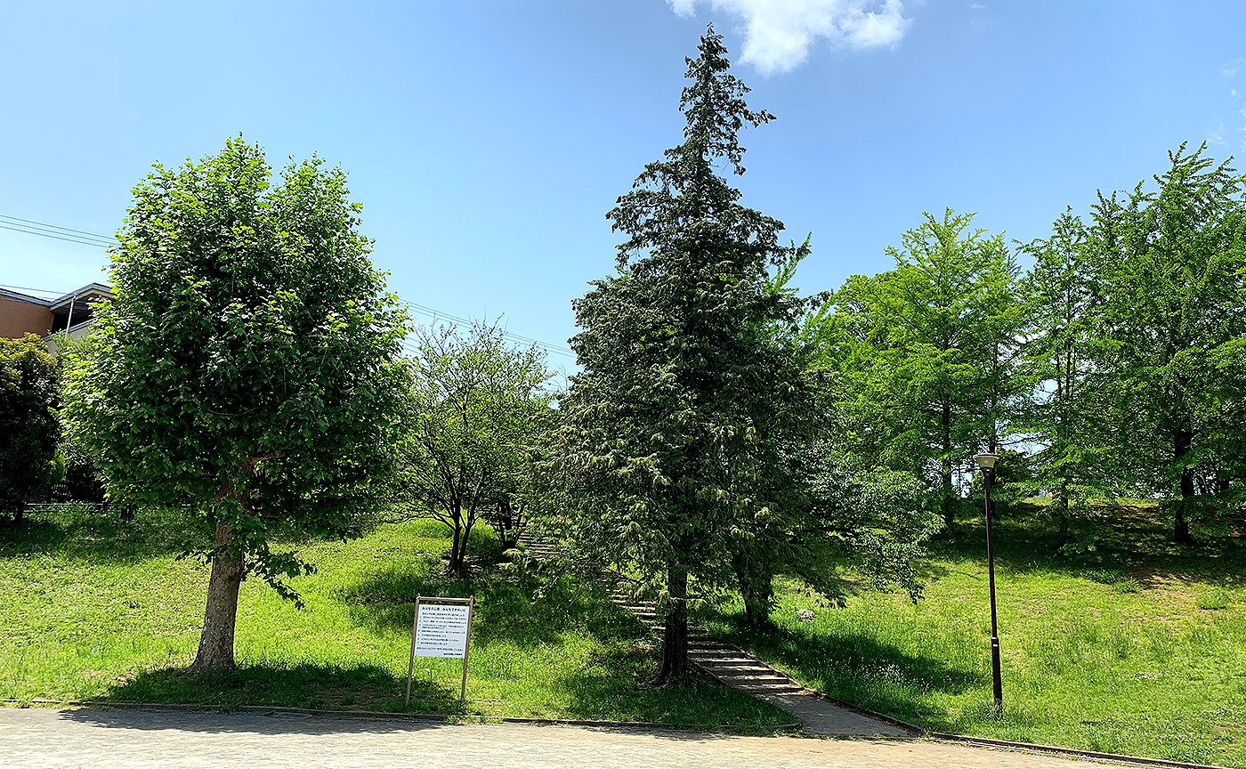 あざみ野一丁目公園