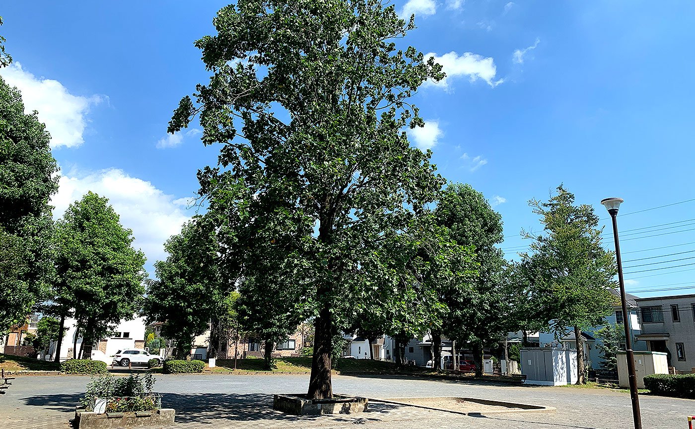 桂台二丁目公園