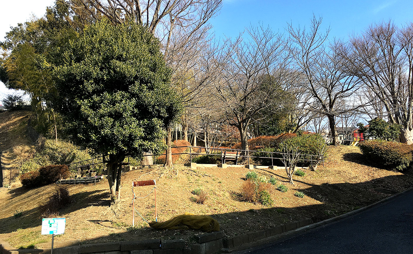 田奈第三公園