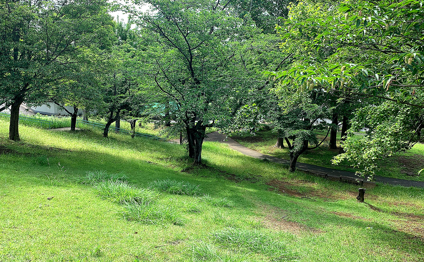 あざみ野四丁目北公園