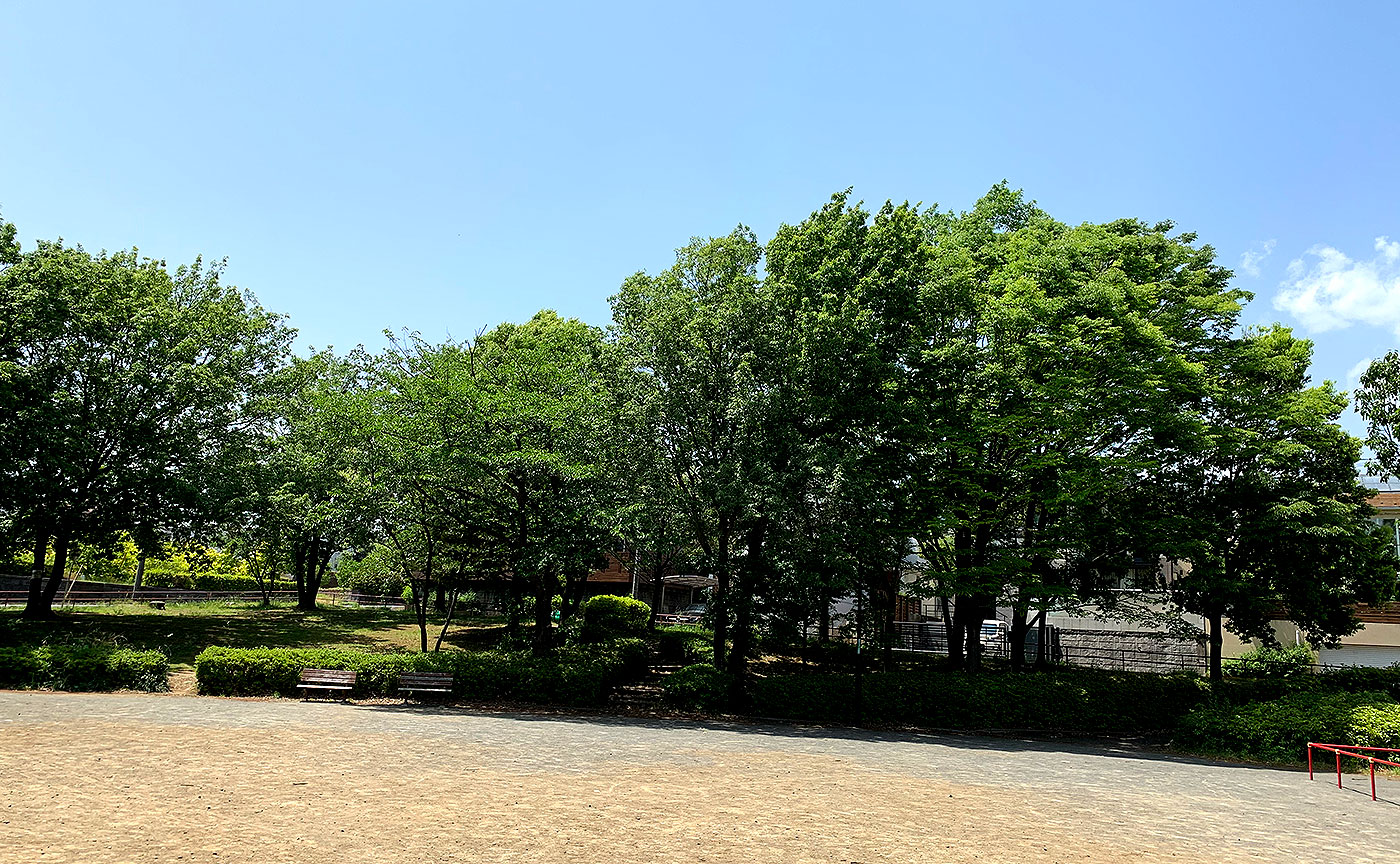 あざみ野南大六天公園