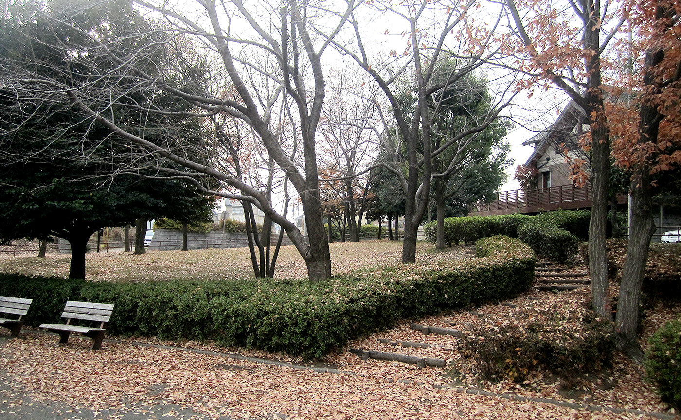 あざみ野南大六天公園