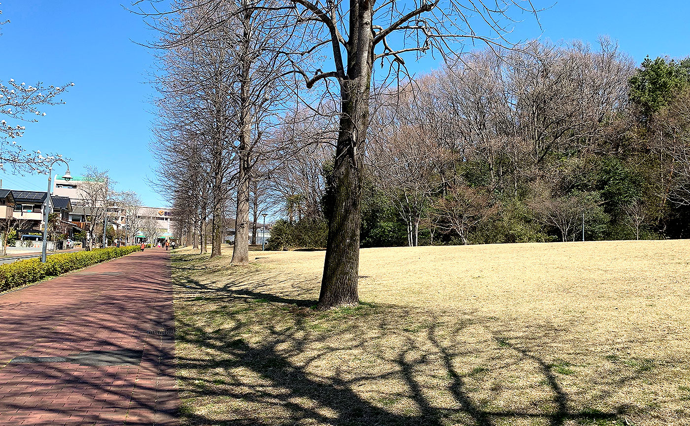 奈良山公園