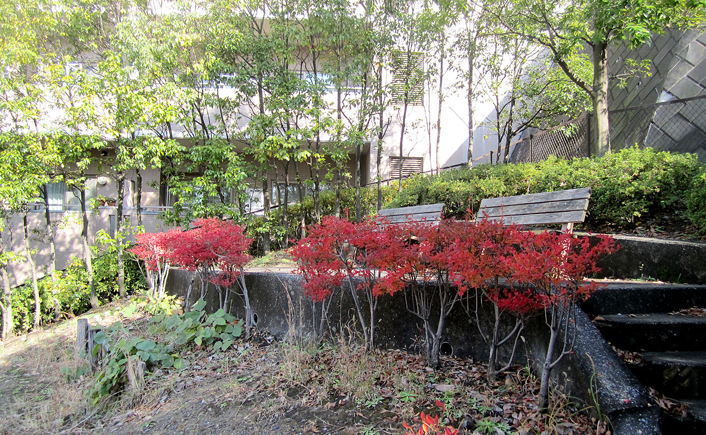 荏田釈迦堂第二公園
